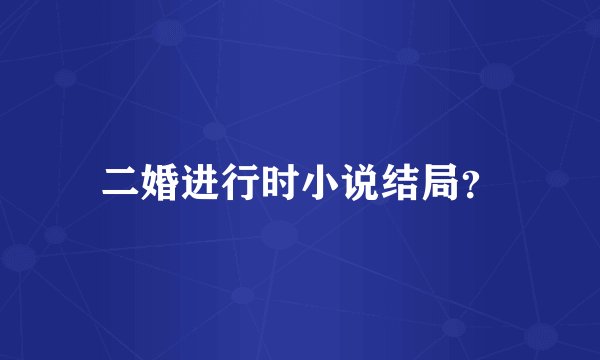 二婚进行时小说结局？
