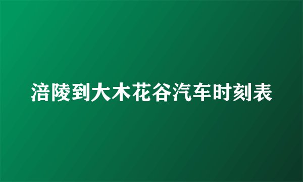 涪陵到大木花谷汽车时刻表