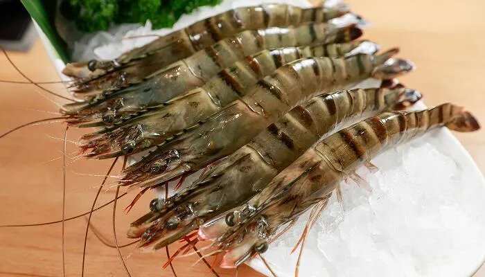 生活常识百科宝典