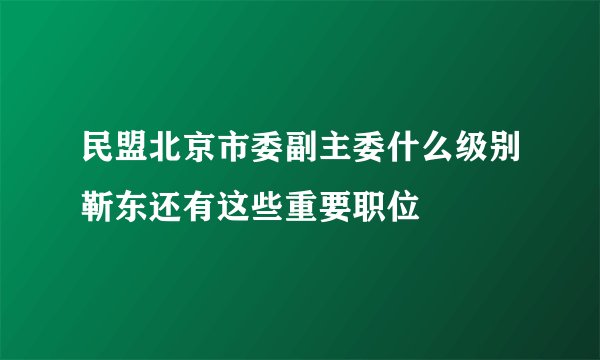 民盟北京市委副主委什么级别靳东还有这些重要职位