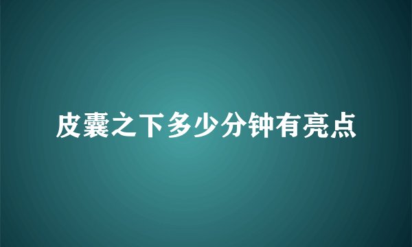 皮囊之下多少分钟有亮点