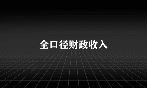 全口径财政收入