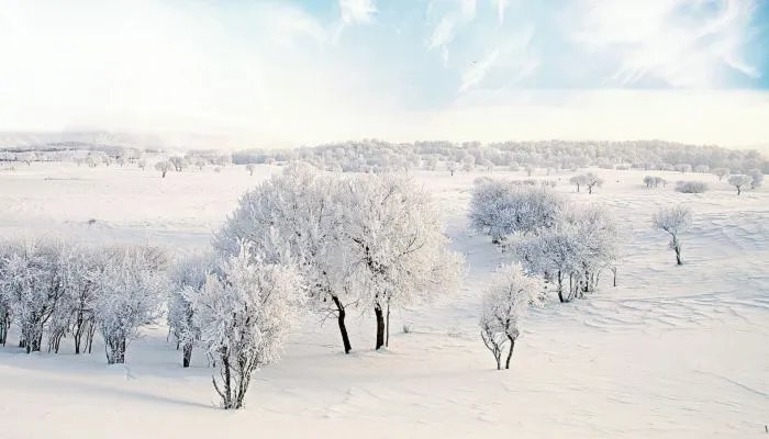 2022年数九天具体时间 2022年数九开始和结束的时间