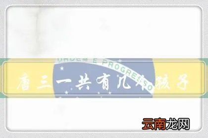 唐三一共有几个孩子，目前2个，女儿唐舞桐，儿子唐舞麟