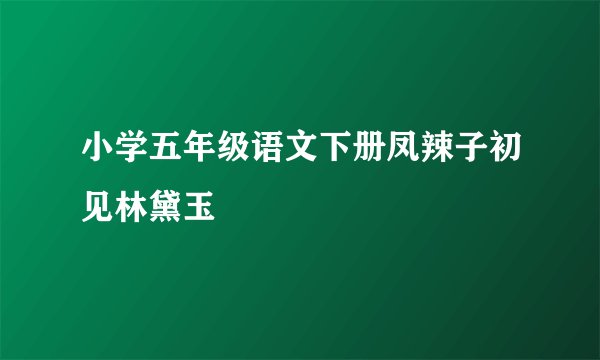 小学五年级语文下册凤辣子初见林黛玉