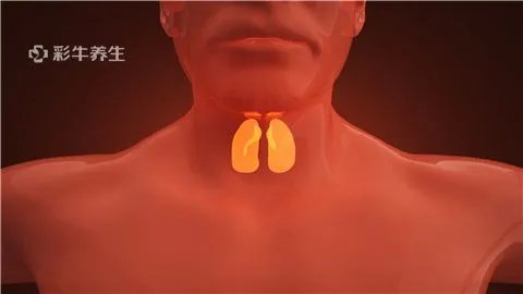 结节性甲状腺肿是怎么回事