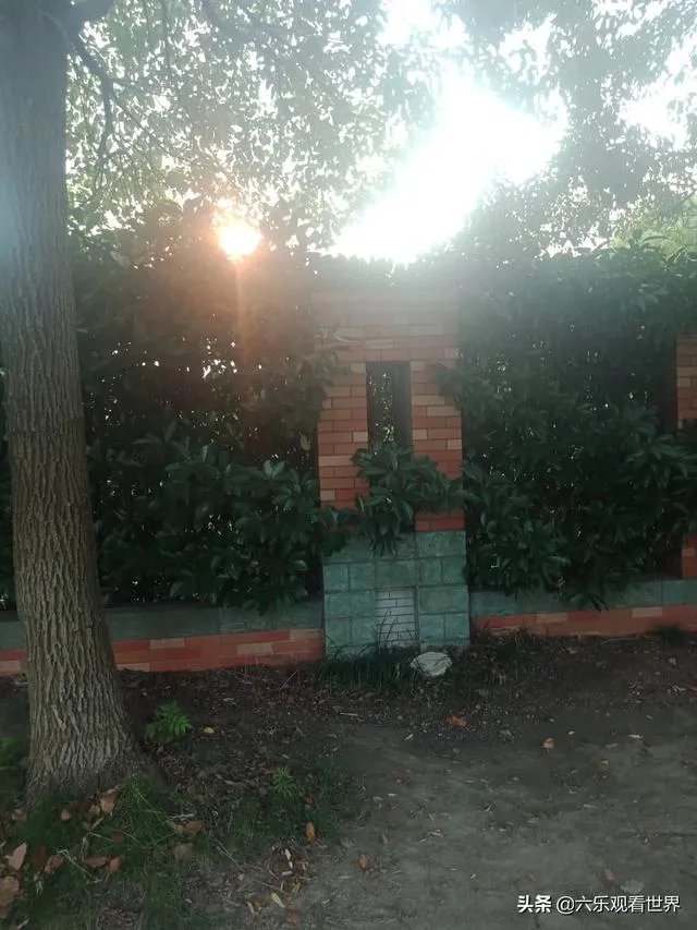 怎样才不会胆怯?