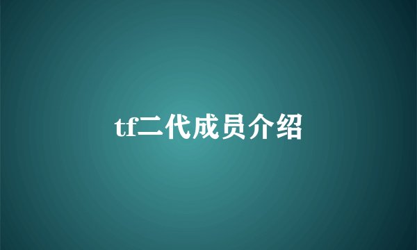 tf二代成员介绍