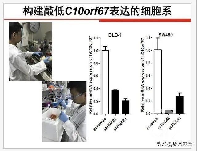 小学生研究癌症获奖遭质疑，一等奖撤销。青少年该不该搞科研？