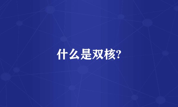 什么是双核?