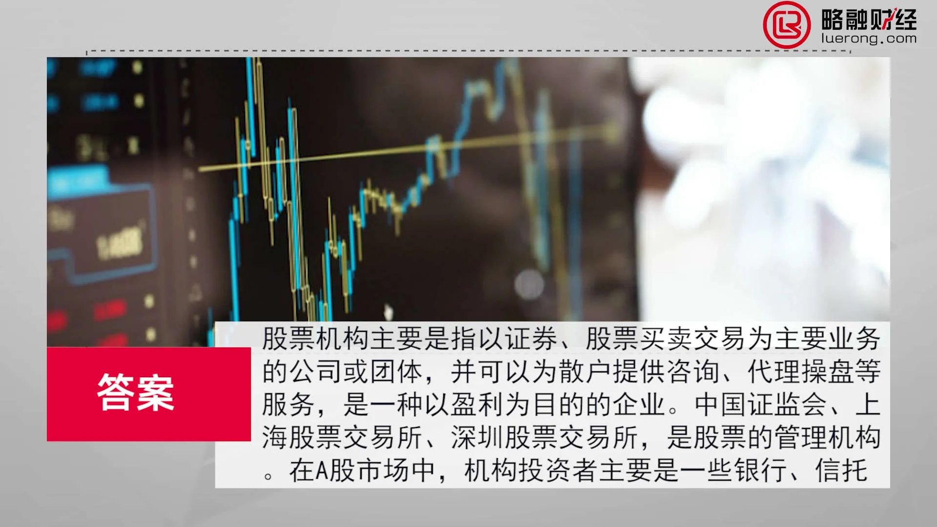 股票机构是什么意思