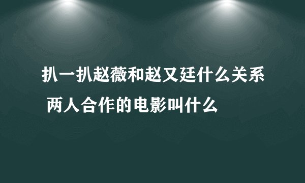 扒一扒赵薇和赵又廷什么关系 两人合作的电影叫什么