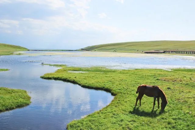 中国十大自然保护区