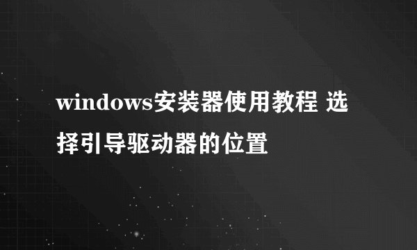 windows安装器使用教程 选择引导驱动器的位置