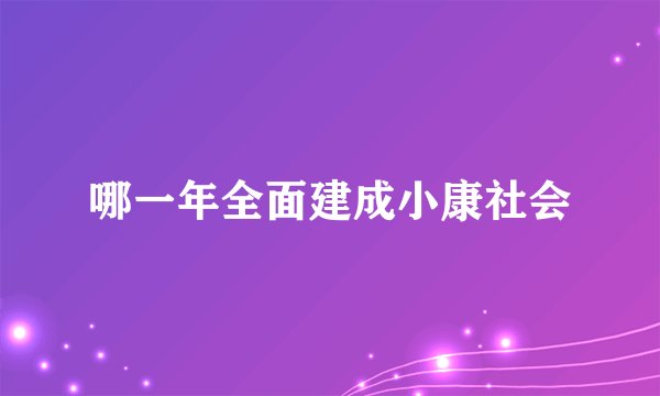 哪一年全面建成小康社会