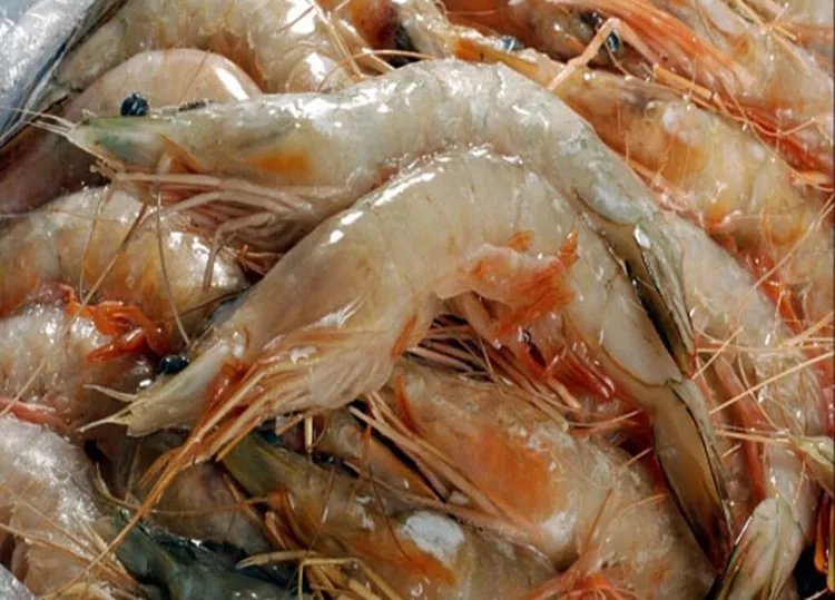 海虾的功效与作用