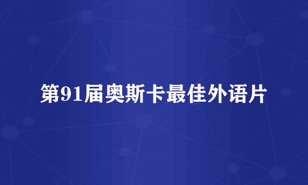 第91届奥斯卡最佳外语片