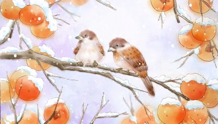 2022年数九天具体时间 2022年数九开始和结束的时间