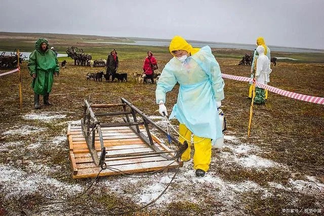 山东出现炭疽死亡病例！至少三地有人确诊，它是如何进行传播的？