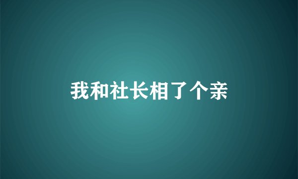 我和社长相了个亲