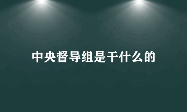 中央督导组是干什么的