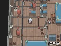 口袋妖怪白金图文攻略