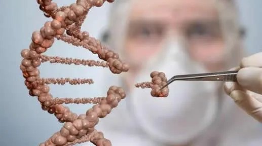 成功复活死亡猪脑是真的吗：怎么复活的始末详情