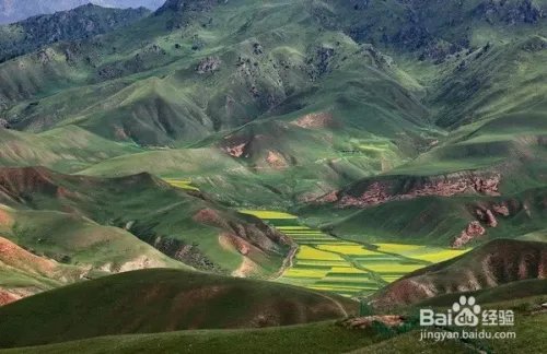 祁连山下,谁牵动了我的衣襟?