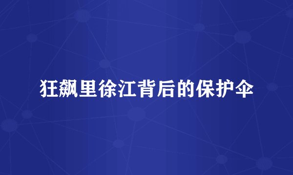 狂飙里徐江背后的保护伞