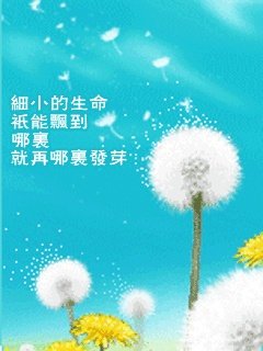 (71)世界保健日,8个误区值得注意!