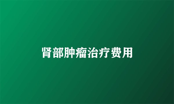 肾部肿瘤治疗费用