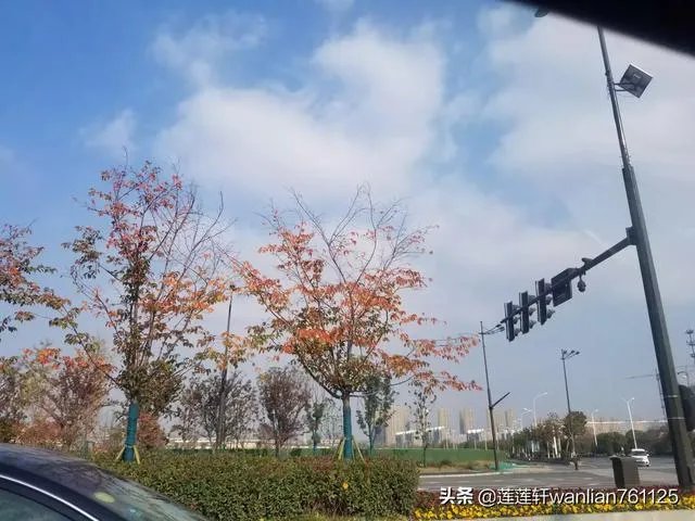 给每个员工发一只猫，等员工离职的话要把猫退还给公司，这样做可以起到稳定团队的作用吗？