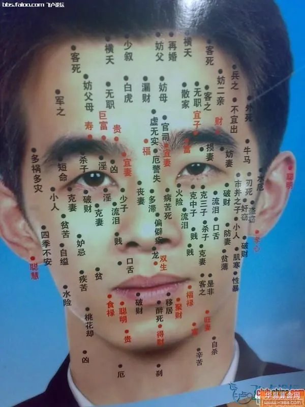 脸上长痣面相图