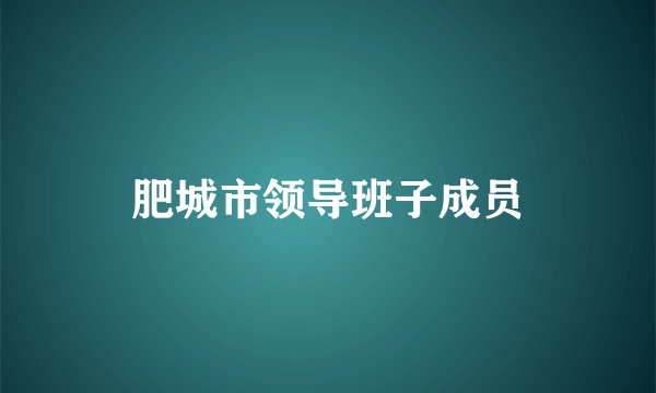 肥城市领导班子成员