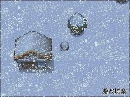 口袋妖怪白金图文攻略