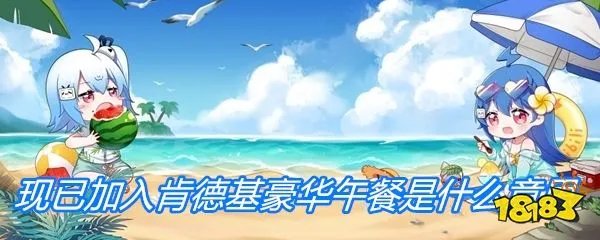 现已加入肯德基豪华午餐是什么意思