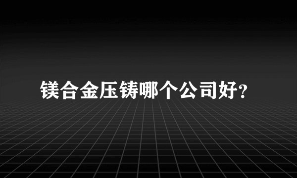 镁合金压铸哪个公司好？