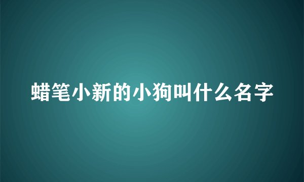 蜡笔小新的小狗叫什么名字