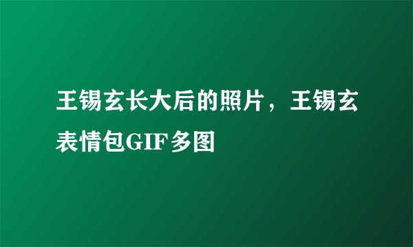 王锡玄长大后的照片，王锡玄表情包GIF多图