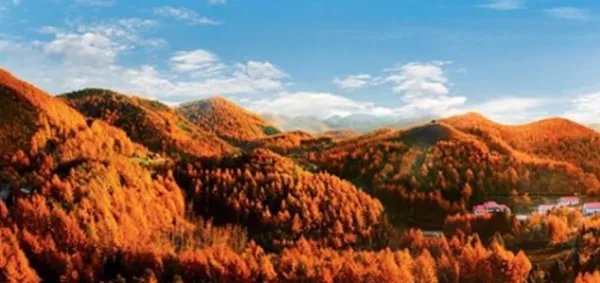 湖北旅游景点排名前十的景点有哪些？