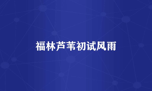 福林芦苇初试风雨