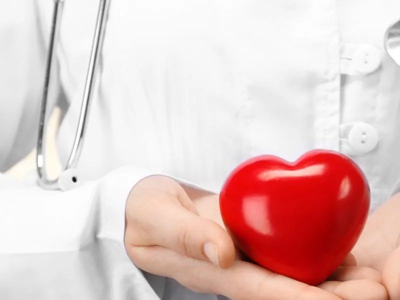 莲子心的副作用