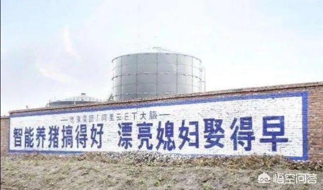 “人工智能养猪”的行为到底靠不靠谱?