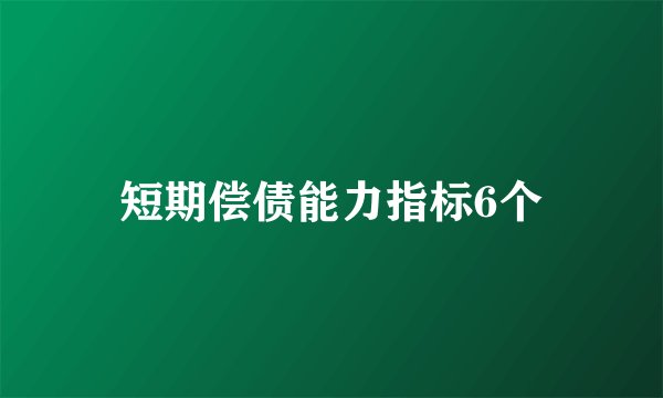 短期偿债能力指标6个