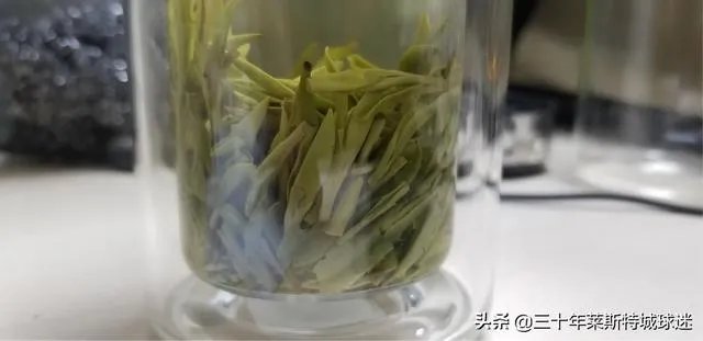 中茶108这个品种有何优缺点？