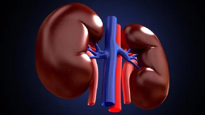 肾病综合征能治愈吗