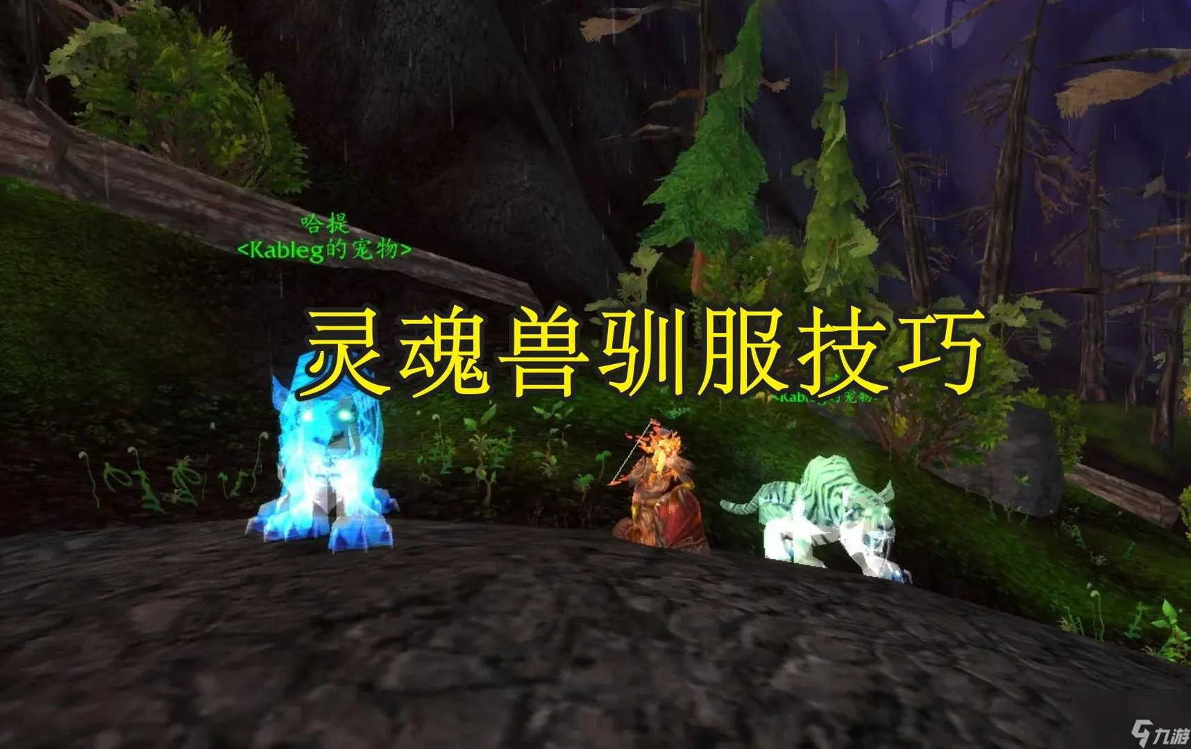 逐日的刷新具体地点 wlk逐日刷新地点和时间