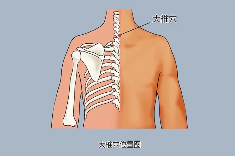 大椎准确位置作用按摩方法