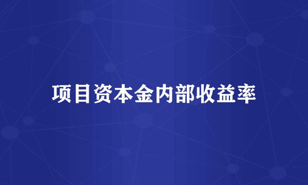 项目资本金内部收益率