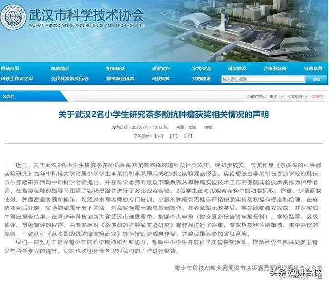 武汉又有2名小学生研究茶多酚抗肿瘤获奖,大家怎么看?
